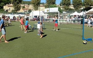 50615dce8d7ca_CIMG1316 (Medium).JPG