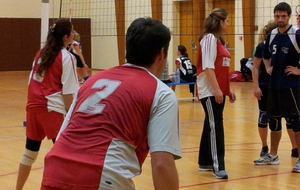 510aad35c6e72_20130128_222819.jpg