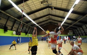 5846f0396e4f0_IMG6342.JPG