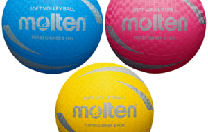 DEMONSTRATION SOFTVOLLEY