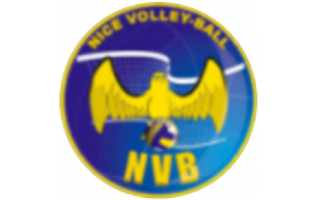 NICE VB 3