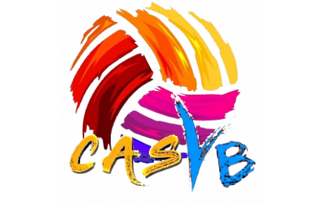 CAS VB